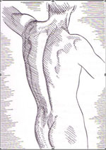 Msystem1m